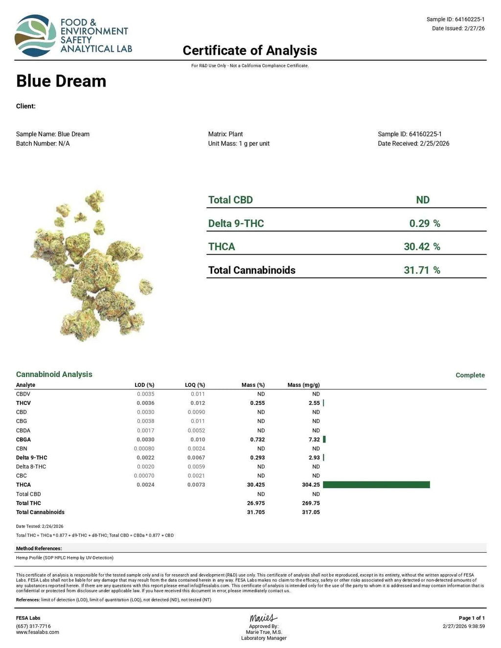 Blue Dream THCa Sativa - Premium Daytime Flower | Golden Gardens