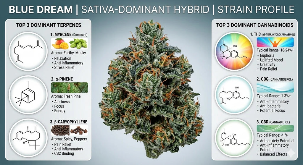 Blue Dream THCa Sativa - Premium Daytime Flower | Golden Gardens