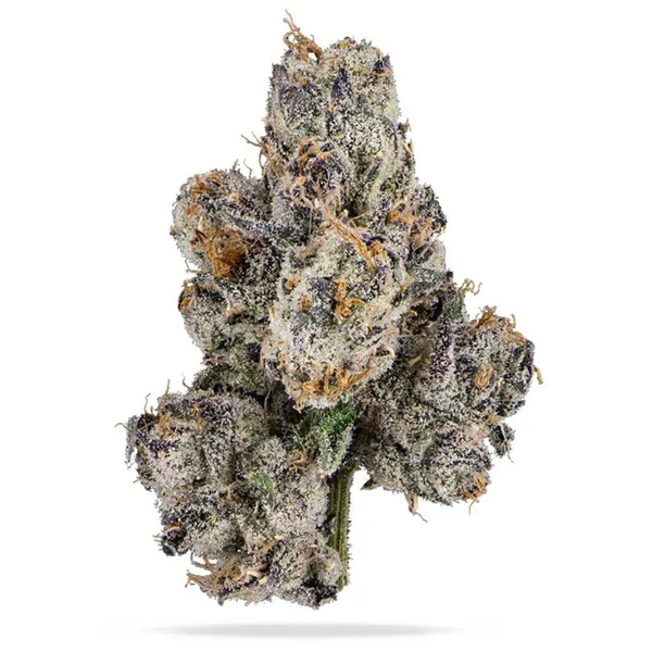 Bubblegum Gelato THCa Flower | Premium Hybrid Hemp Flower | Golden Gardens