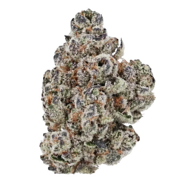 Cotton Candy Kush THCa Flower | Premium Indica-Dominant Hemp Flower | Golden Gardens