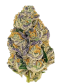 Gumbo Flower | Potent Candy Indica THCa Flower for Deep Relaxation