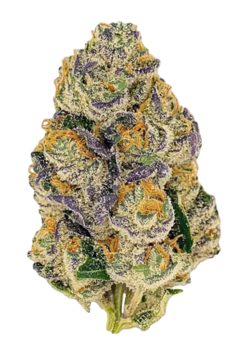 Gumbo Flower | Potent Candy Indica THCa Flower for Deep Relaxation