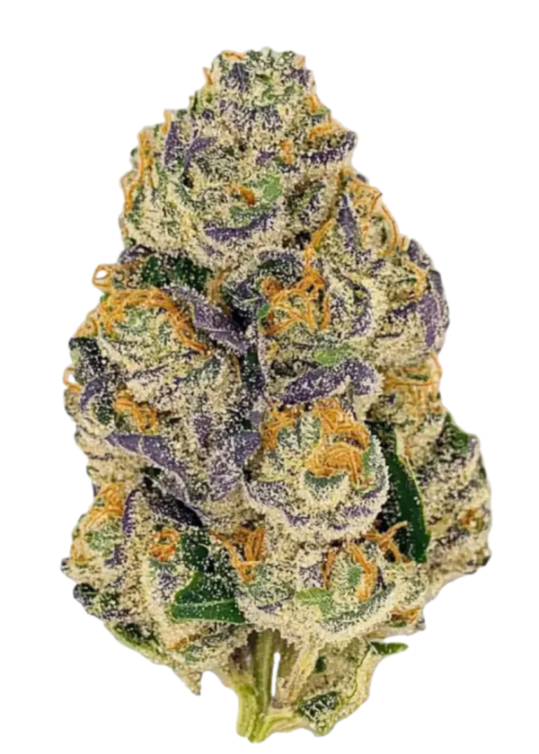 Gumbo Flower | Potent Candy Indica THCa Flower for Deep Relaxation